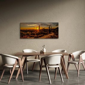 Tablou - Sfărșit de zi în deșertul Arizona (120x50 cm)