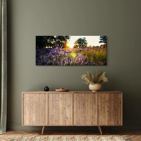 Tablou - Câmp cu lavandă (120x50 cm)