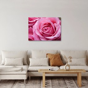 Tablou cu trandafir (70x50 cm)