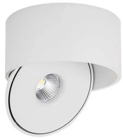 Spot LED/20W/230V 3000/4000/6400K alb