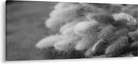 Tablou - iarbă de coadă de iepure pe masă (120x50 cm)
