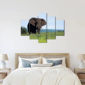 Tablou cu elefant (150x105 cm)