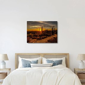 Tablou - Sfărșit de zi în deșertul Arizona (70x50 cm)