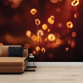 Fototapet - Flori (147x102 cm)