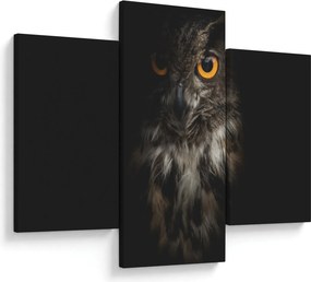 Tablou cu bufnița (90x60 cm)