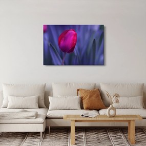 Tablou mugure de lalea (90x60 cm)