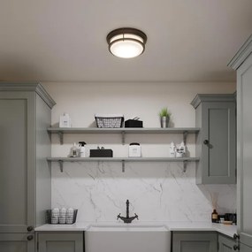 Plafonieră de baie HADLEY Hinkley HK-HADLEY-F-OZ, 3x E27/40W/230V, IP44, bronz