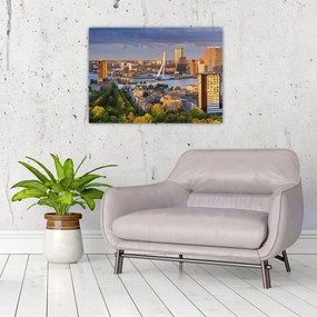 Tablou pe sticlă - Panorama Rotterdamului, Țările de Jos (70x50 cm)