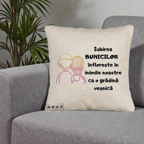 Cadou pentru Bunici - Perna Personalizata Iubirea Bunicilor Infloreste Cuplu Line Art Gradient, 40x40 cm, Bej Canapea, Husa Detasabila, Perna Inclusa, BEKZ®
