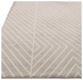 Covor gri deschis 120x170 cm Muse – Asiatic Carpets