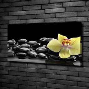 Print pe canvas Orhidee