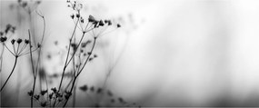 Tablou - Detailu florior de luncă (120x50 cm)