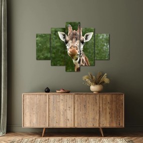Tablou cu girafa (150x105 cm)