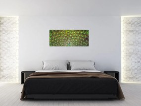 Tablou - Peacock (120x50 cm)
