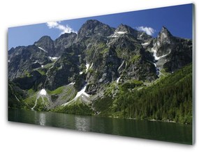 Tablouri acrilice Munții Lake Forest Peisaj Verde Gri