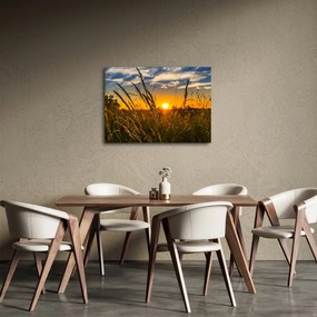 Tablou cu câmp în apus de soare (70x50 cm)