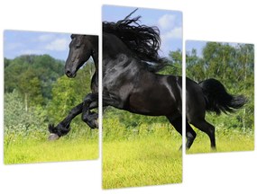 Tablou - Cal cu o coamă curgătoare (90x60 cm)