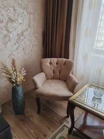 Fotoliu tip berjer scaun Cafe culoare bej