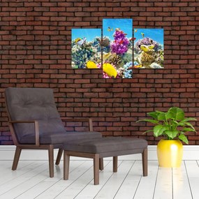 Tablou - Lumea mării (90x60 cm)