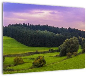 Tablou cu lunca (70x50 cm)