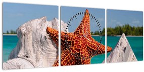 Tablou cu stea de mare (cu ceas) (90x30 cm)