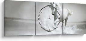 Tablou - Cal alb (cu ceas) (90x30 cm)