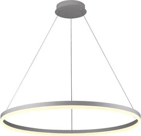 Brilagi - Lustră LED dimabilă suspendată pe cablu CIRCLE LED/55W/230V 3000-6500K argintiu + telecomandă