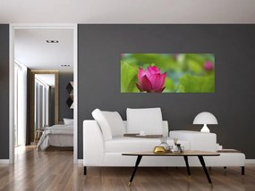Tablou - floare de apă (120x50 cm)