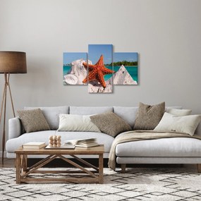 Tablou cu stea de mare (90x60 cm)