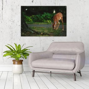 Tablou cu pui de cerb (90x60 cm)