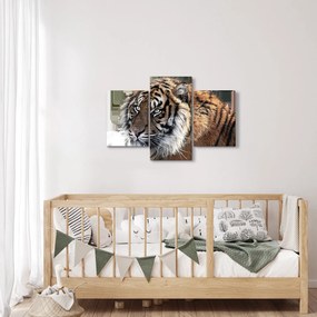Tablou cu tigrul (90x60 cm)