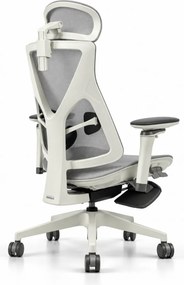Scaun ergonomic ANEW ARYSE D3, Suport Lombar Trio Dinamic , Cotiere 5D Dual-Axis, Tetieră Reglabilă, Mecanism Sensibil la Greutate cu Seat-Slider, Suport Picioare, Mesh, Gri