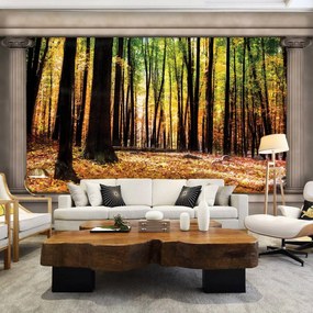 Fototapet - Pădure de toamnă (254x184 cm), în 8 de alte dimensiuni noi