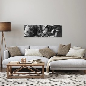 Tablou - Circ (cu ceas) (90x30 cm)