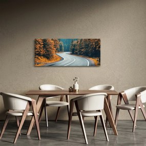Tablou - Drumul cu serpentine (120x50 cm)