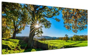 Tablou Privire la câmp (120x50 cm)