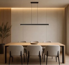 Rabalux 72058 - Lustră LED pe cablu FAYRO LED/19W/230V 4000K negru
