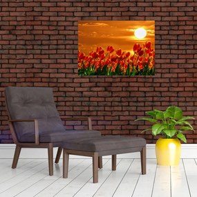 Tablou - lan înflorit de lalele (70x50 cm)