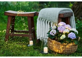 Ghirlandă luminoasă număr becuri 500 buc. lungime 350 cm Knirke – Sirius