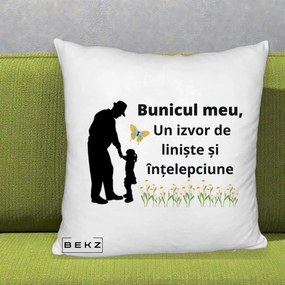 Cadou pentru Bunic - Perna Personalizata Bunicul Meu Izvor de Liniste cu Fluture si Fetita, 40x40 cm, Alb Pufos, Husa Detasabila, Perna Inclusa, BEKZ®