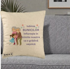 Cadou pentru Bunici - Perna Personalizata Bunicii Iubirea Infloreste Bunici cu Nepoata Colorat, 40x40 cm, Bej, Husa Detasabila, Perna Inclusa, BEKZ®