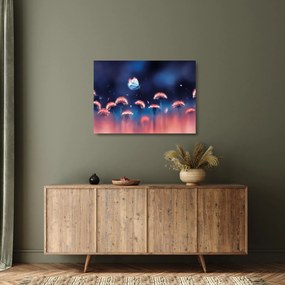 Tablou pe sticlă cu păpădii cu fluture albastru (70x50 cm)