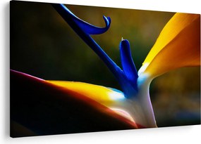 Tablou - Floare exotică (90x60 cm)