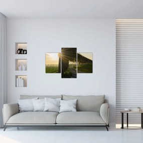 Tablou cu alee (90x60 cm)