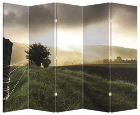 Tablou - Luncă (210x170 cm)