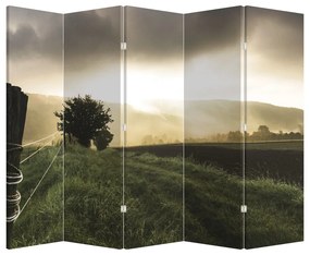 Tablou - Luncă (210x170 cm)