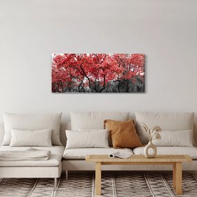 Tablou - Copacii roșii, Central Park, New York (120x50 cm)