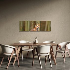 Tablou - Vulpe (cu ceas) (90x30 cm)