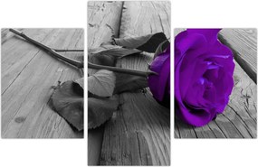 Tablou - Trandafir violet cu tulpina verde (90x60 cm)