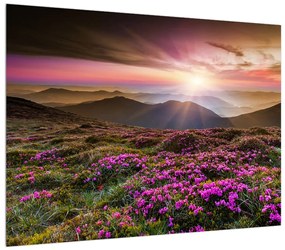 Tablou cu peisaj montan înflorit (70x50 cm), în 40 de alte dimensiuni noi
